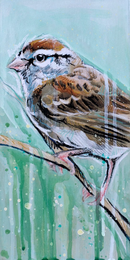 Chipping Sparrow FINAL prints