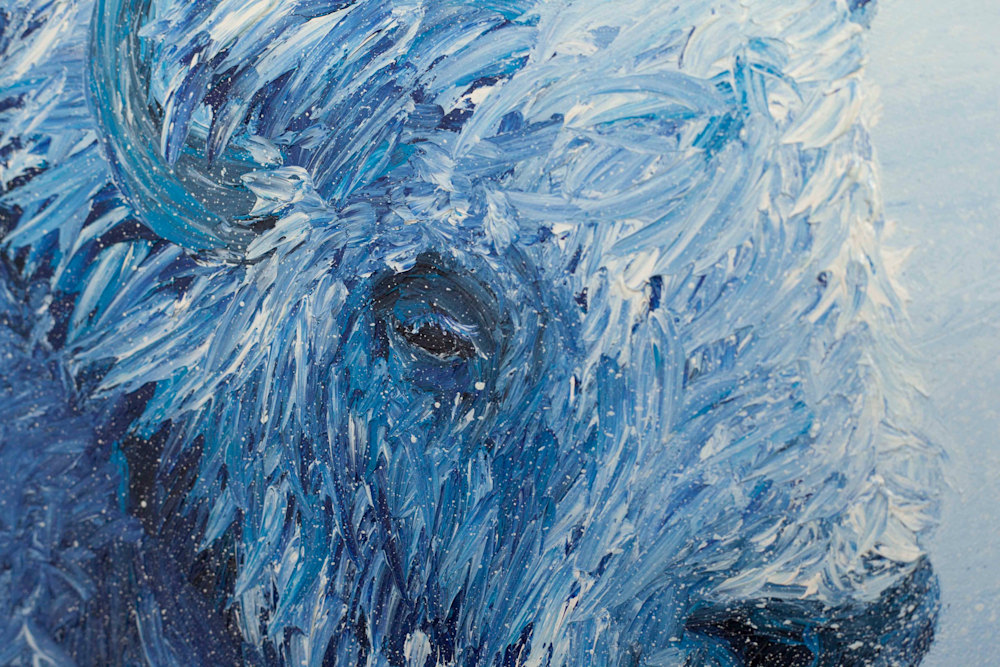 Icy bison close up