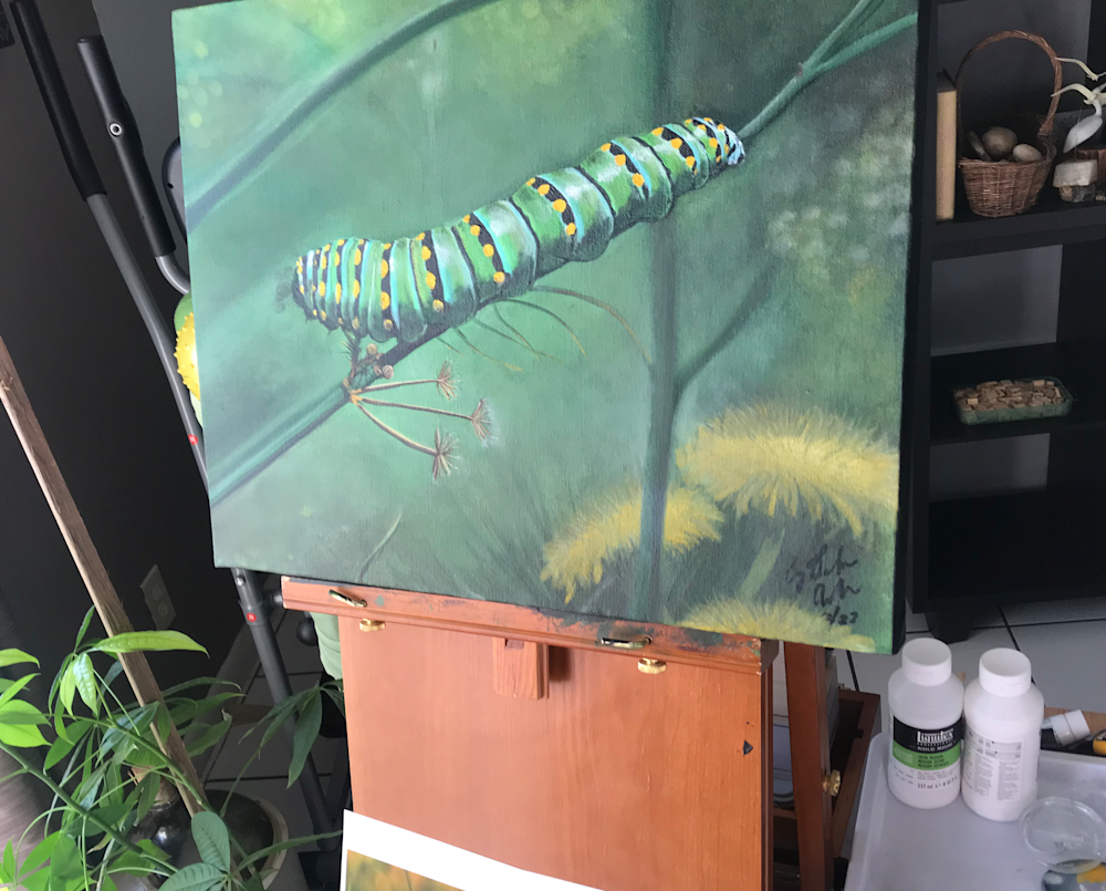 larva on the easel