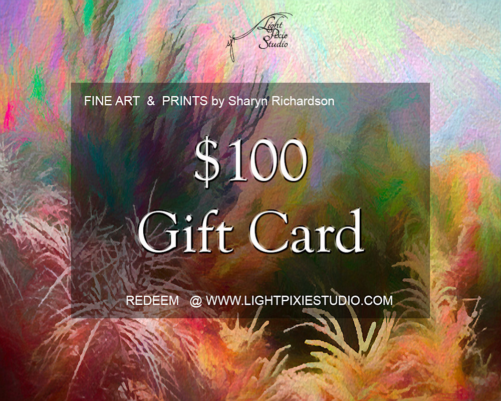 $100 Gift Card IG