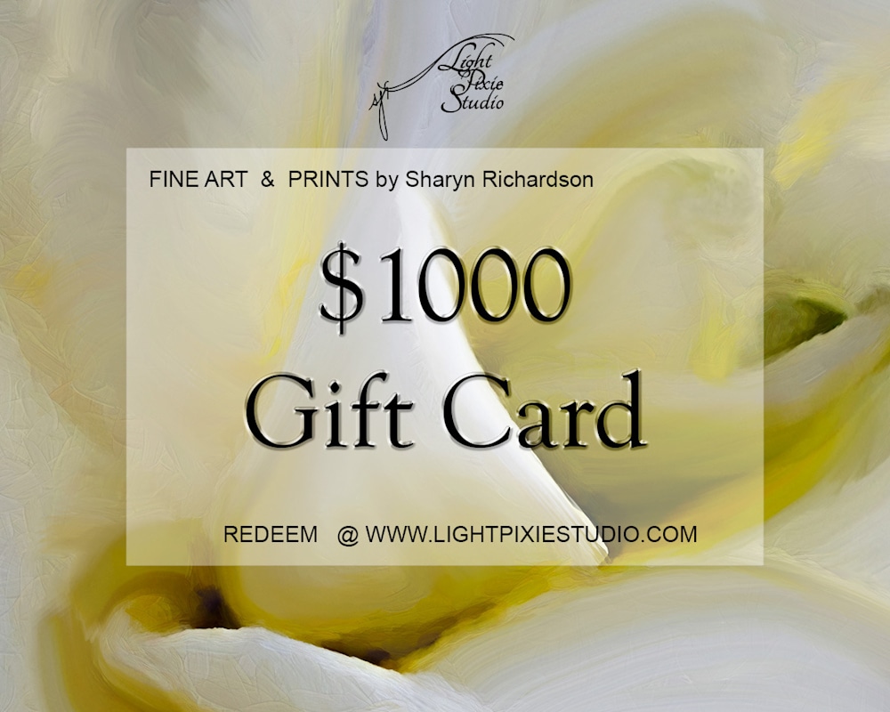 $1000 Gift Card IG