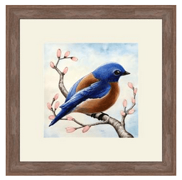 bluebird framed