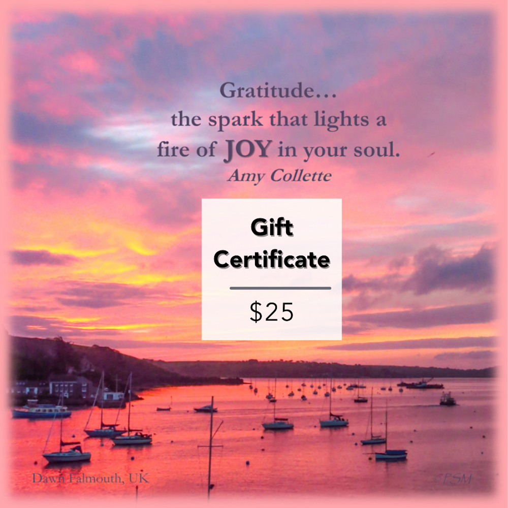 Gift Certificate 25