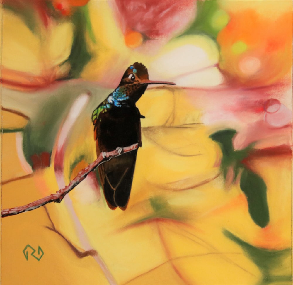 Magnificent Hummingbird      8 x 8