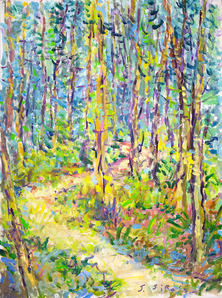IMG 0865 Forest Path 18x24 Oil SM 72ppi