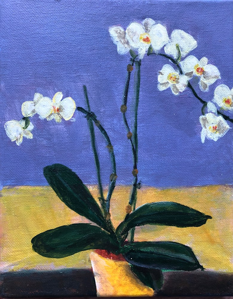 white orchids