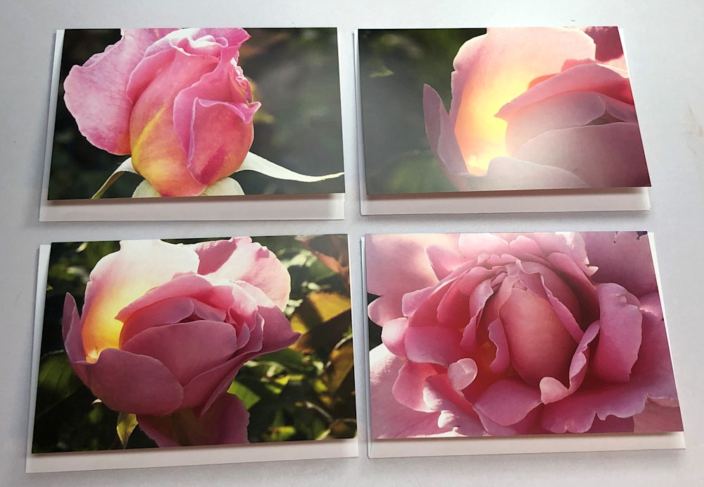 Peace Roses Card set