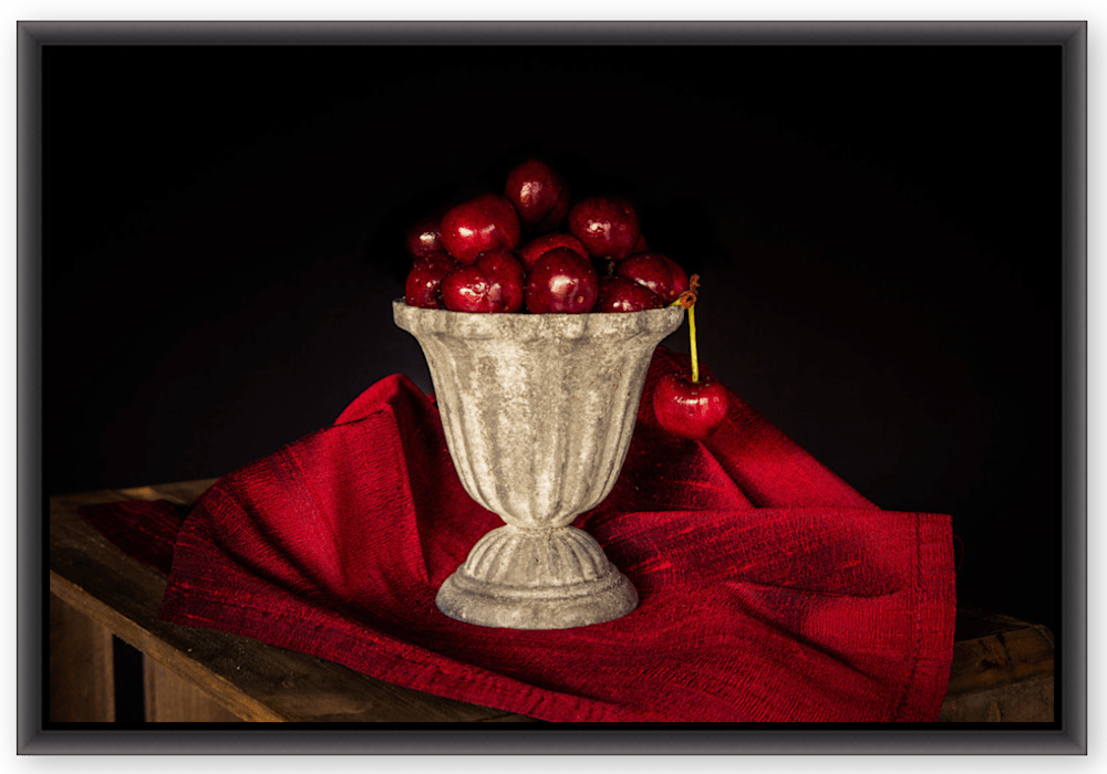 Cherry Chalice 24x36 Gallery Wrap with Float Frame 650 325