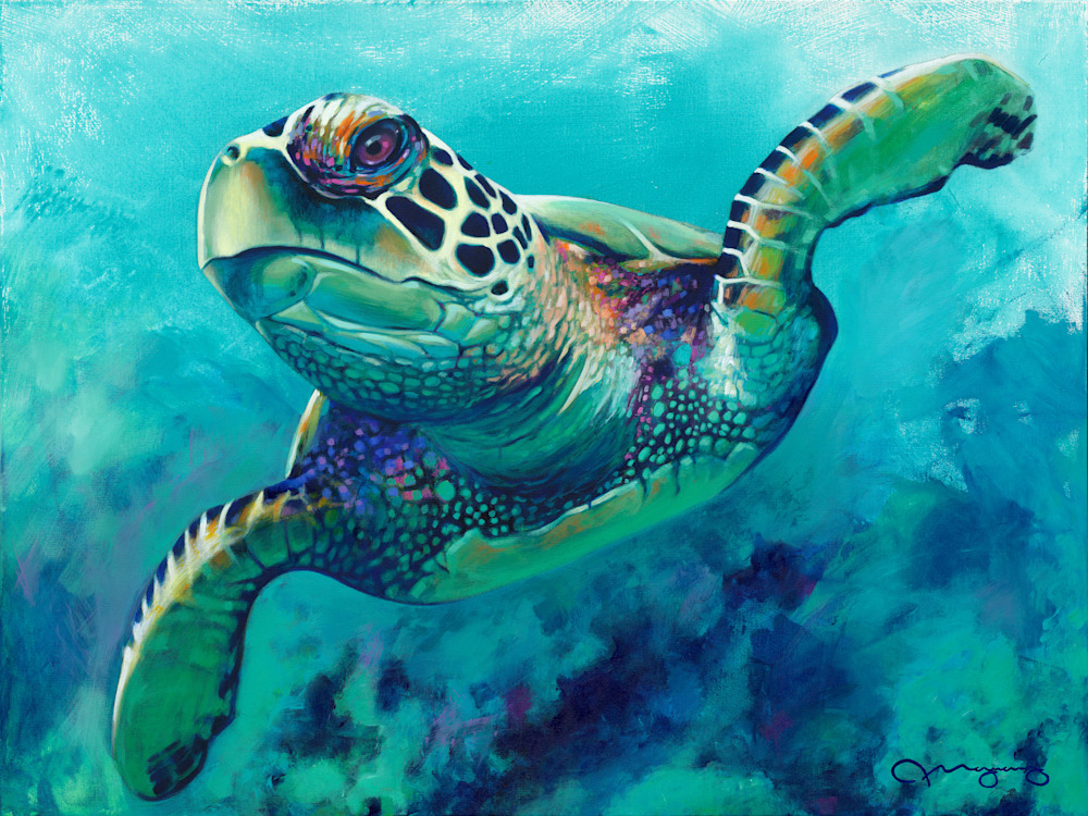 Turtle 48x36 gallery