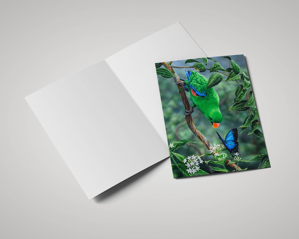 Tropical Encounter 2