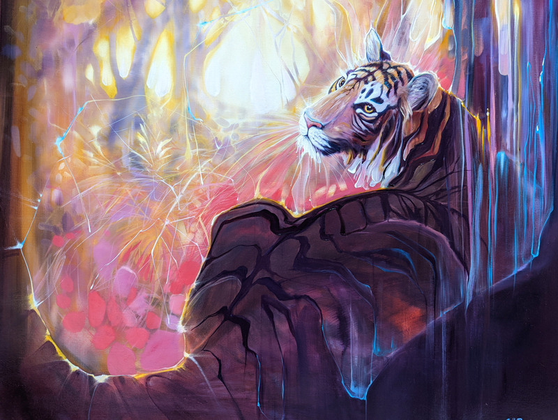 Spellbound Tigress d5 72