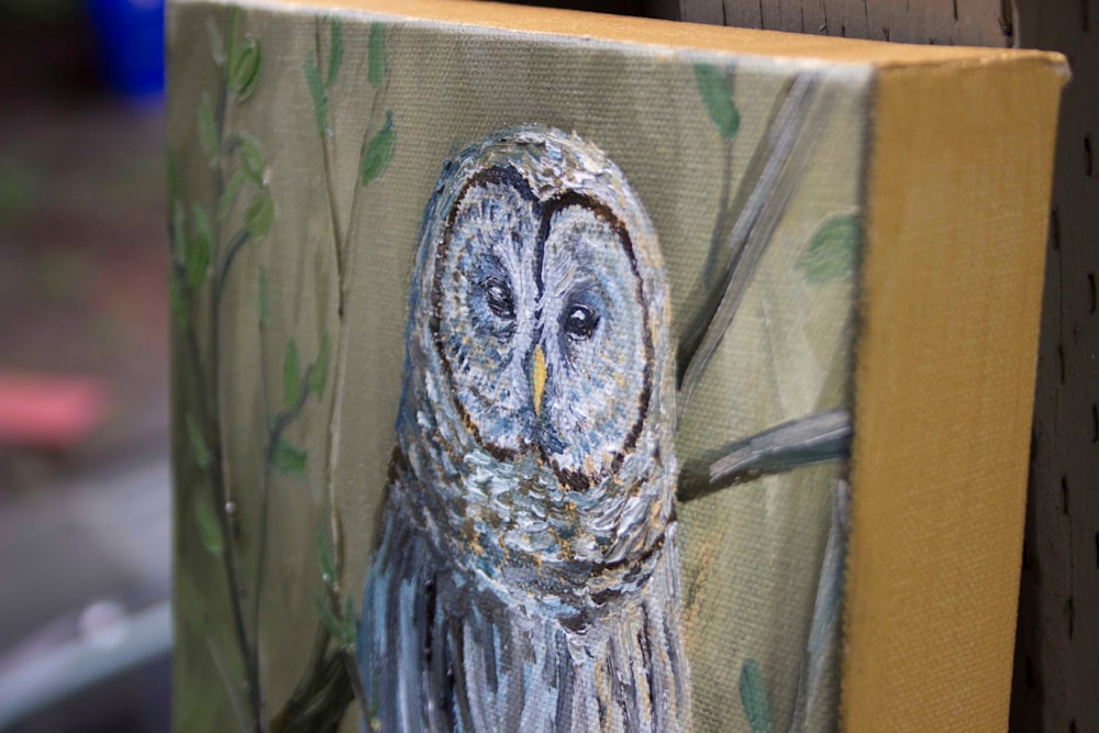 Barred Owl 4