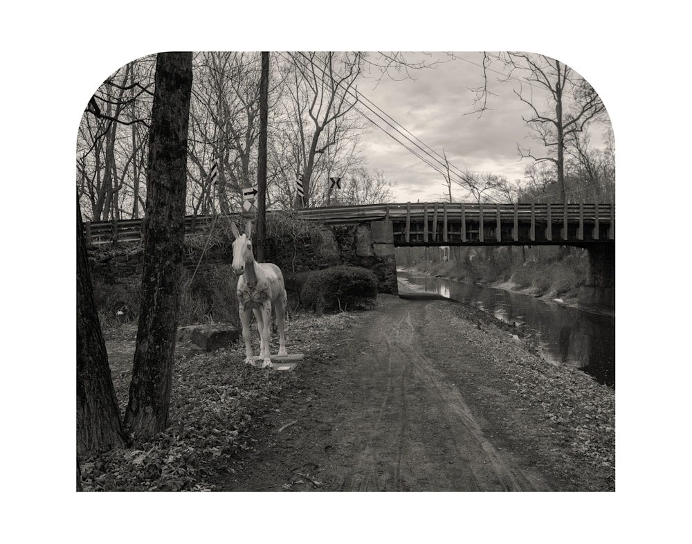 CanalMule 14x11CanvasFinal Print Sharpened