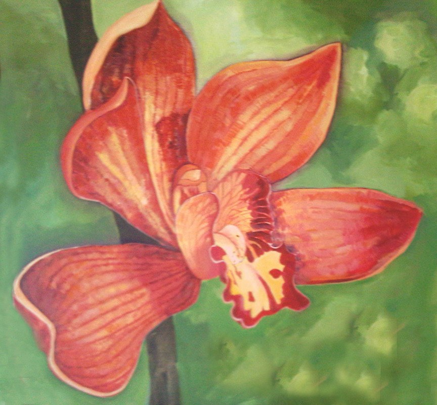 Duvivier Orchid 36'x36'