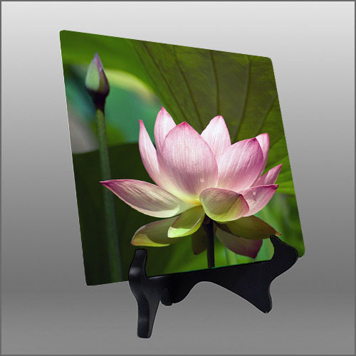 pink lily tabletop easel art
