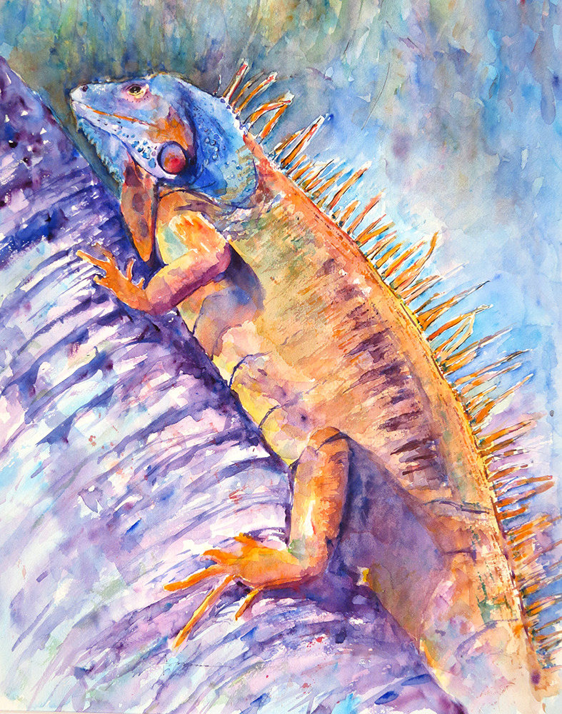 Iguana in Velvet Hues