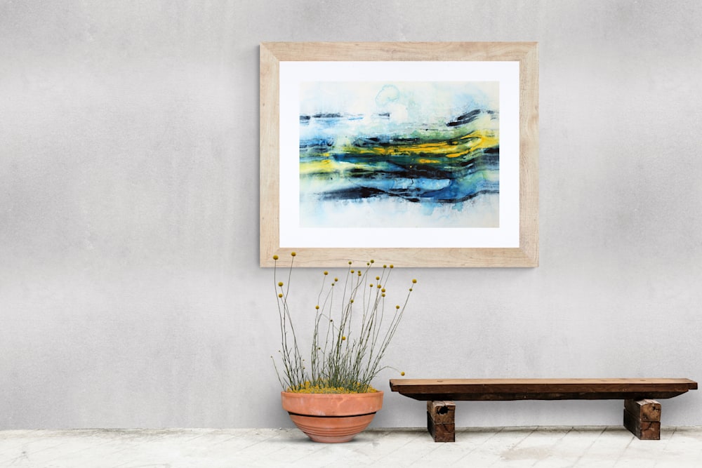 915 Outdoor wall and plants