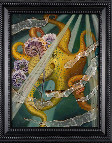 octopus framed