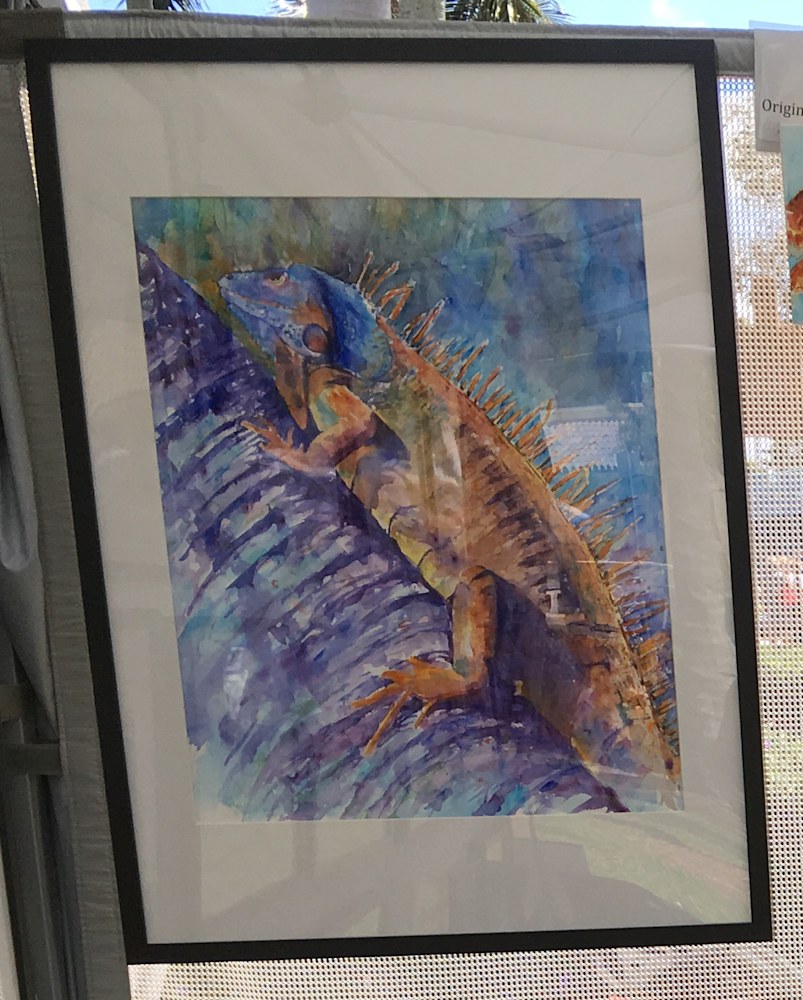 iguana velvet hues framed