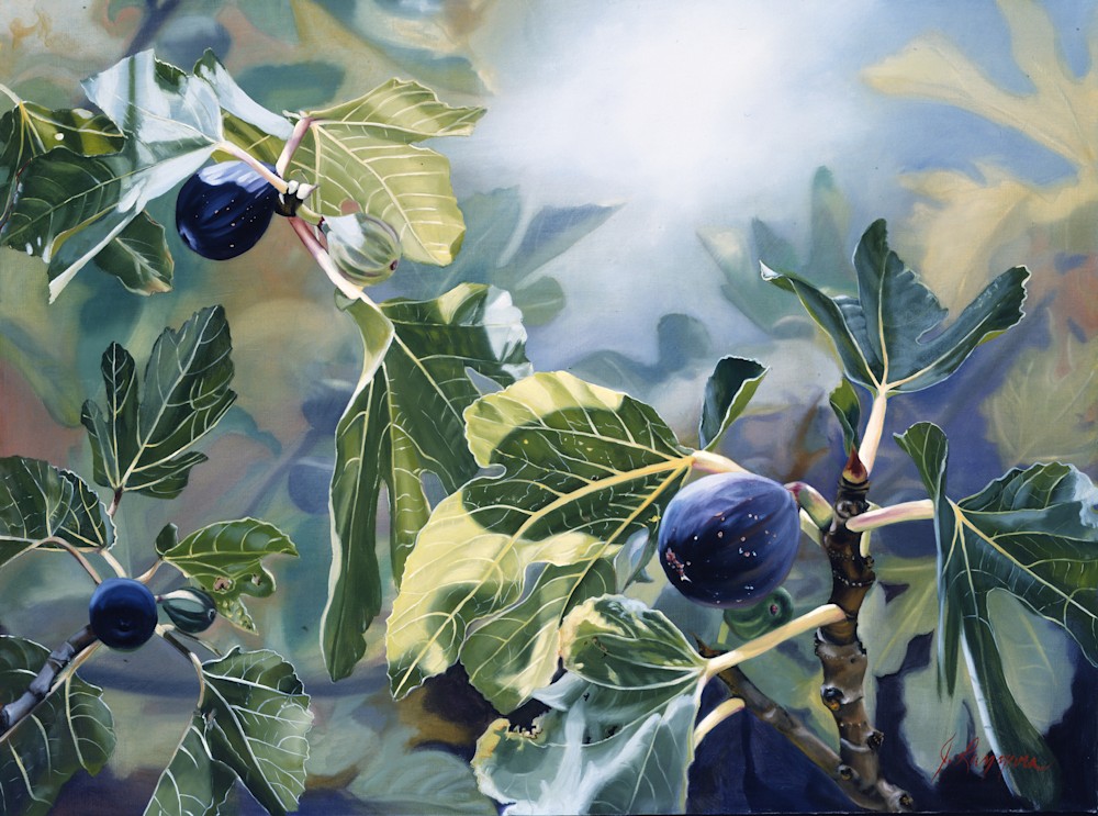 JL Blue Haven 30x40 Figs ukmea7