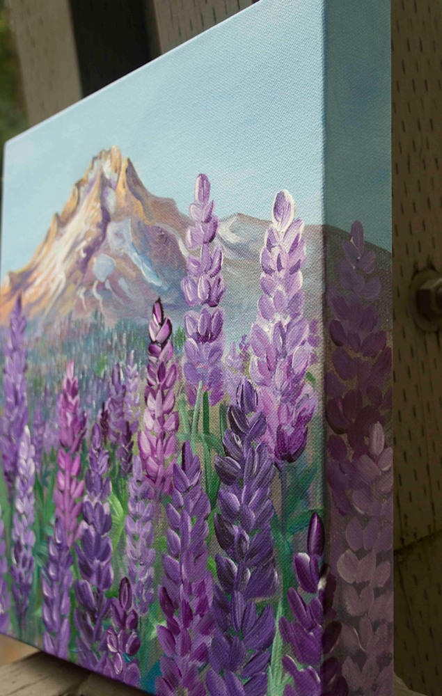 mount hood in the lupine side view
