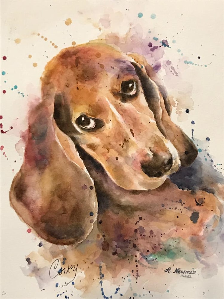 Peters dog Corky