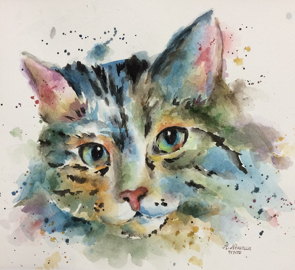 "Splash" Kitty