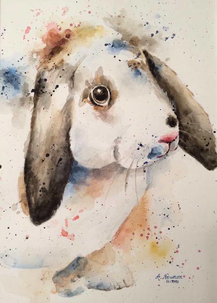 Binks Rabbit "Splash Technique in Watercolor
