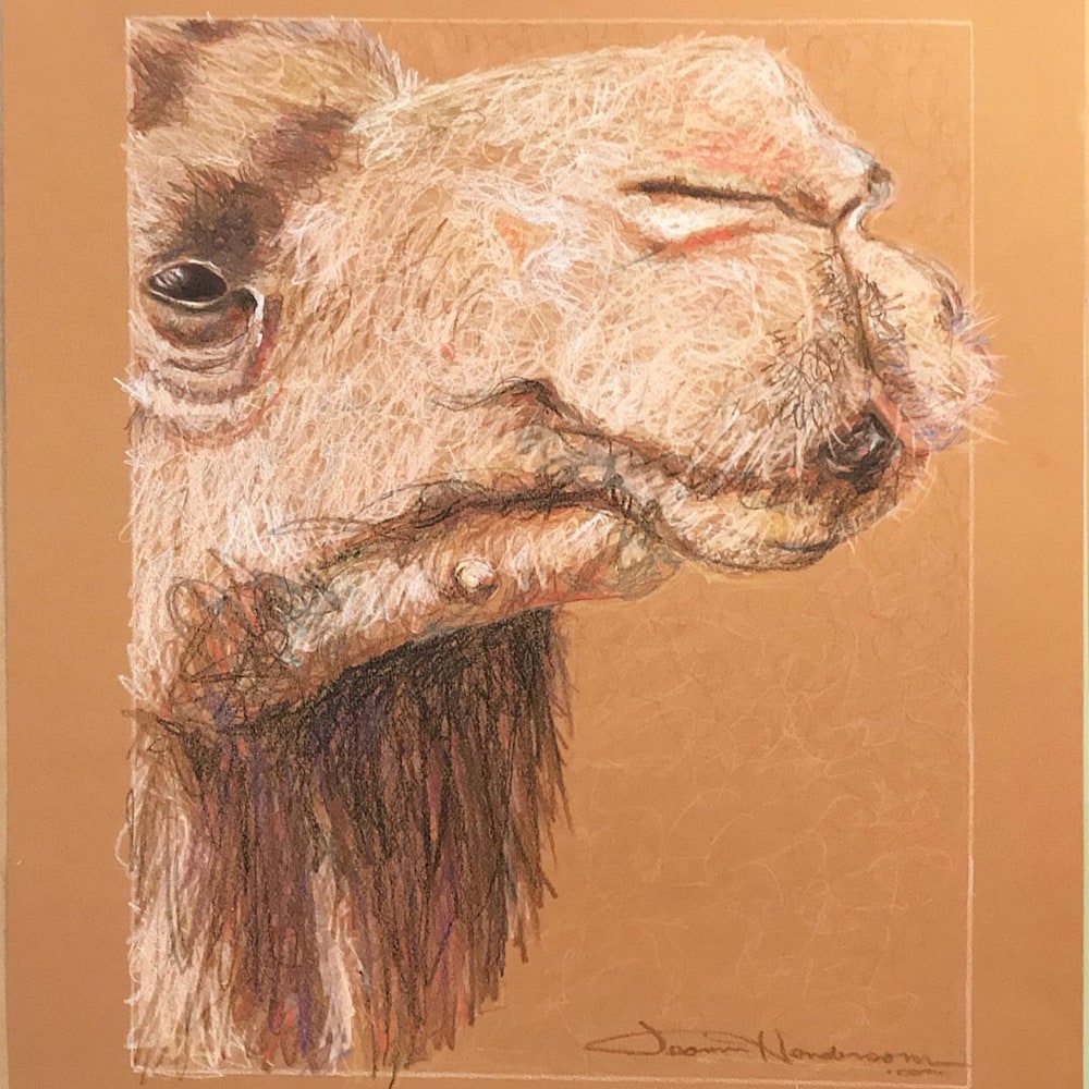 Ohmar 19x23 $1200