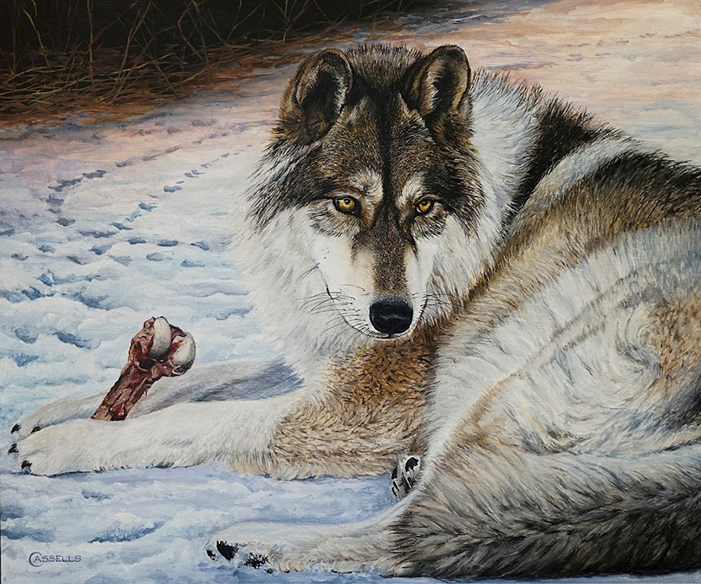 Mindful of the Prize   Timber Wolf