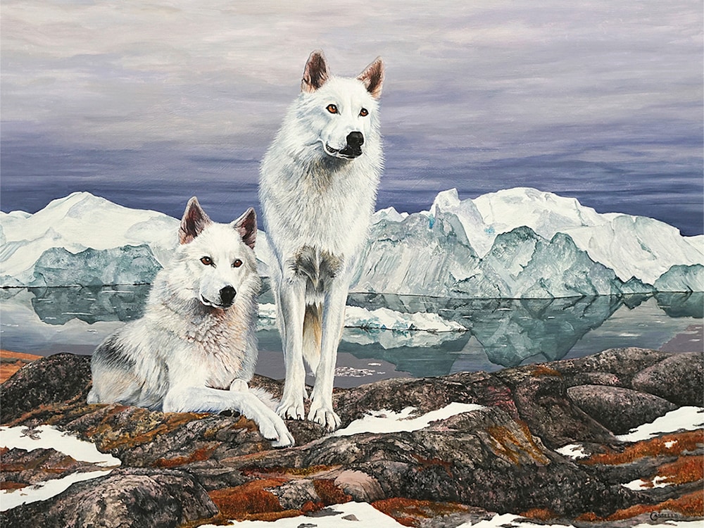LAARA CASSELLS   On The Lookout   Arctic Wolves