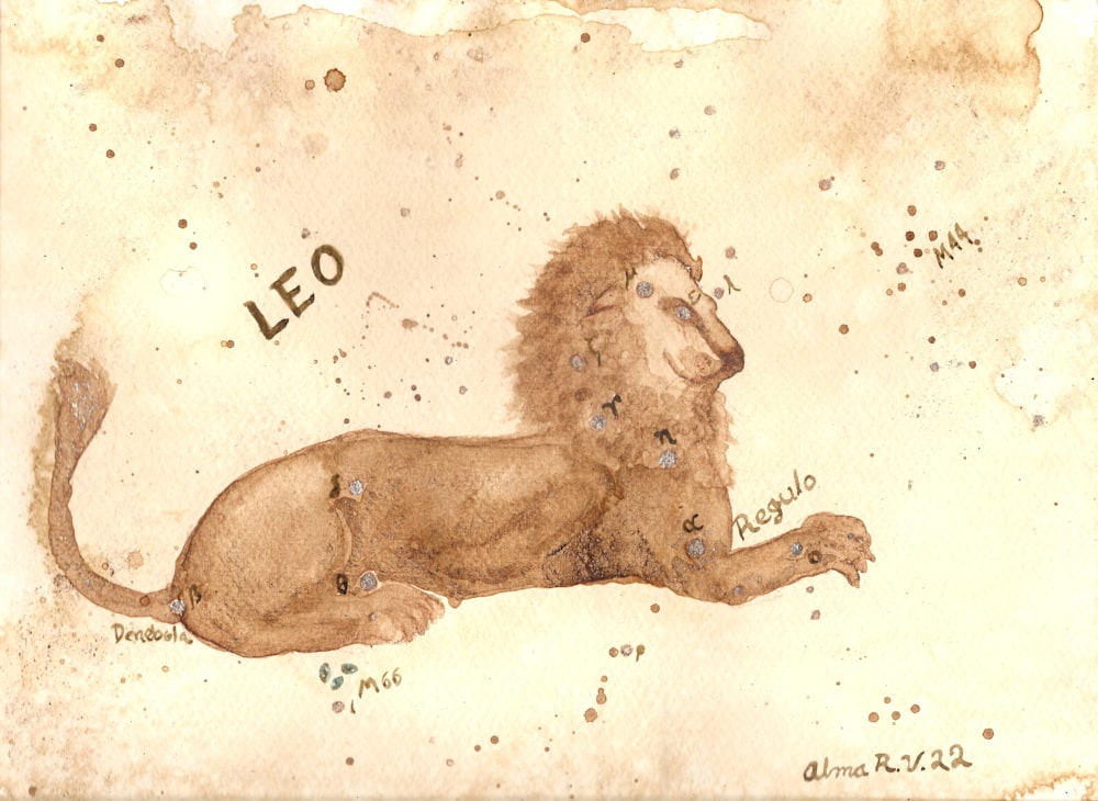 Leo300