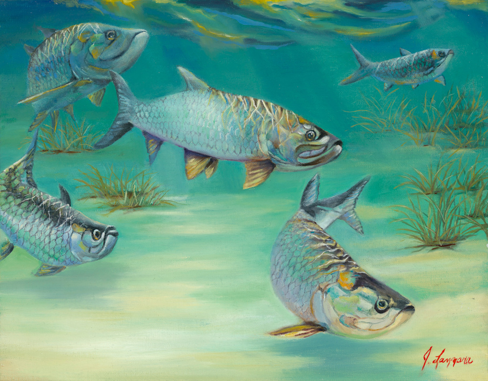 Lazzara  Schooling Silver King Tarpon (Large)