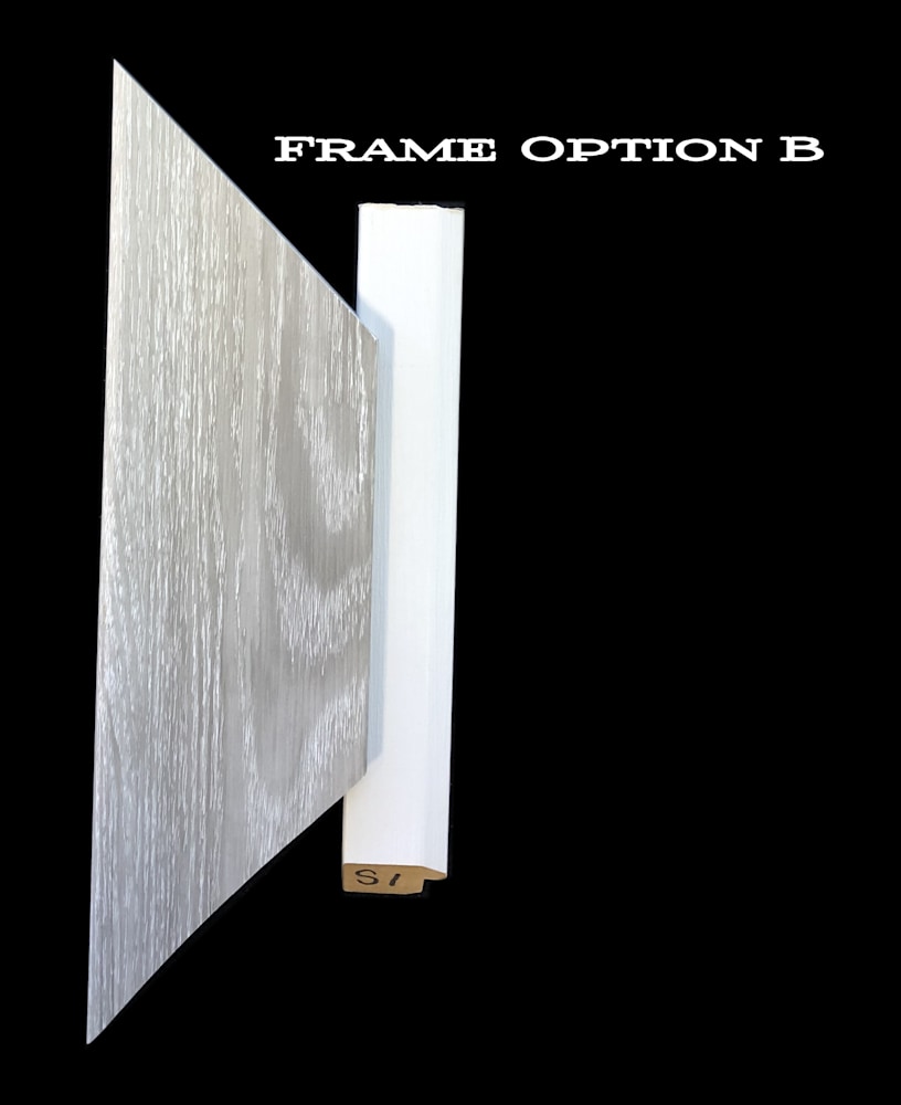 frame samples
