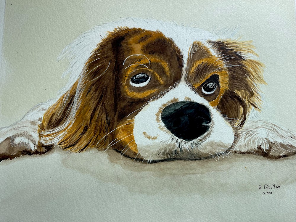 Poor Puppy (2)