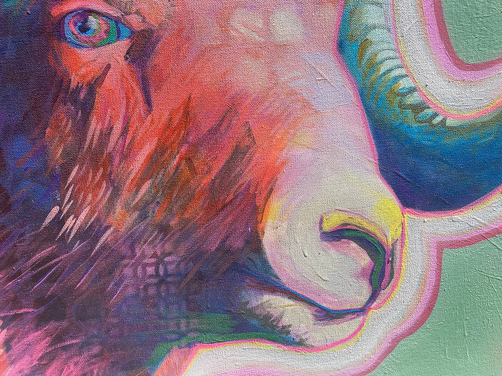 PinkBighorn 2