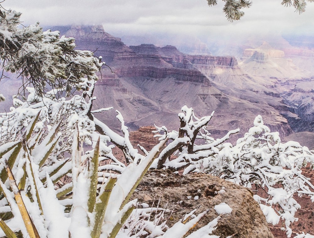 Grand Canyon Winter #1 FC detail