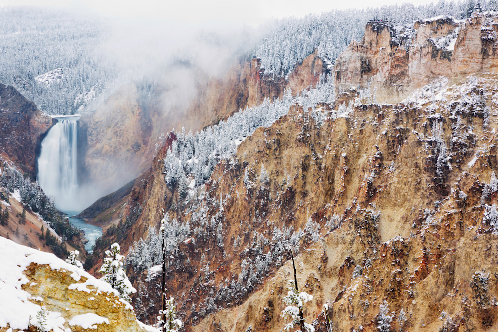 Cameron   Cameron Williams   Grand Canyon of the Yellowstone