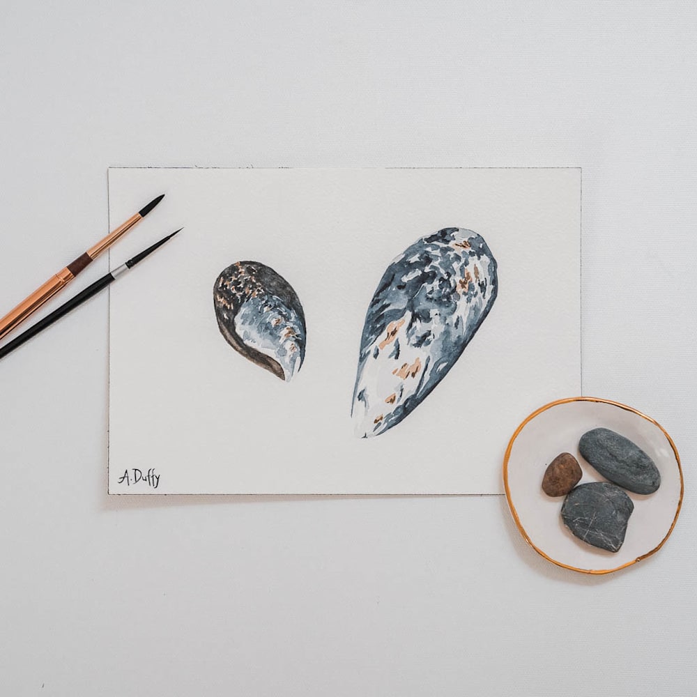 tiny explorations mussel shell watercolor painting amy duffy 001
