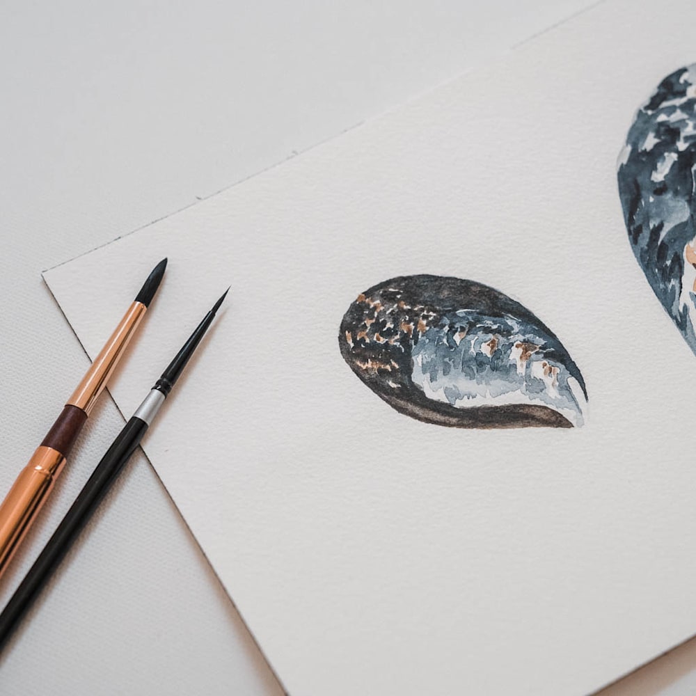 tiny explorations mussel shell watercolor painting amy duffy 002