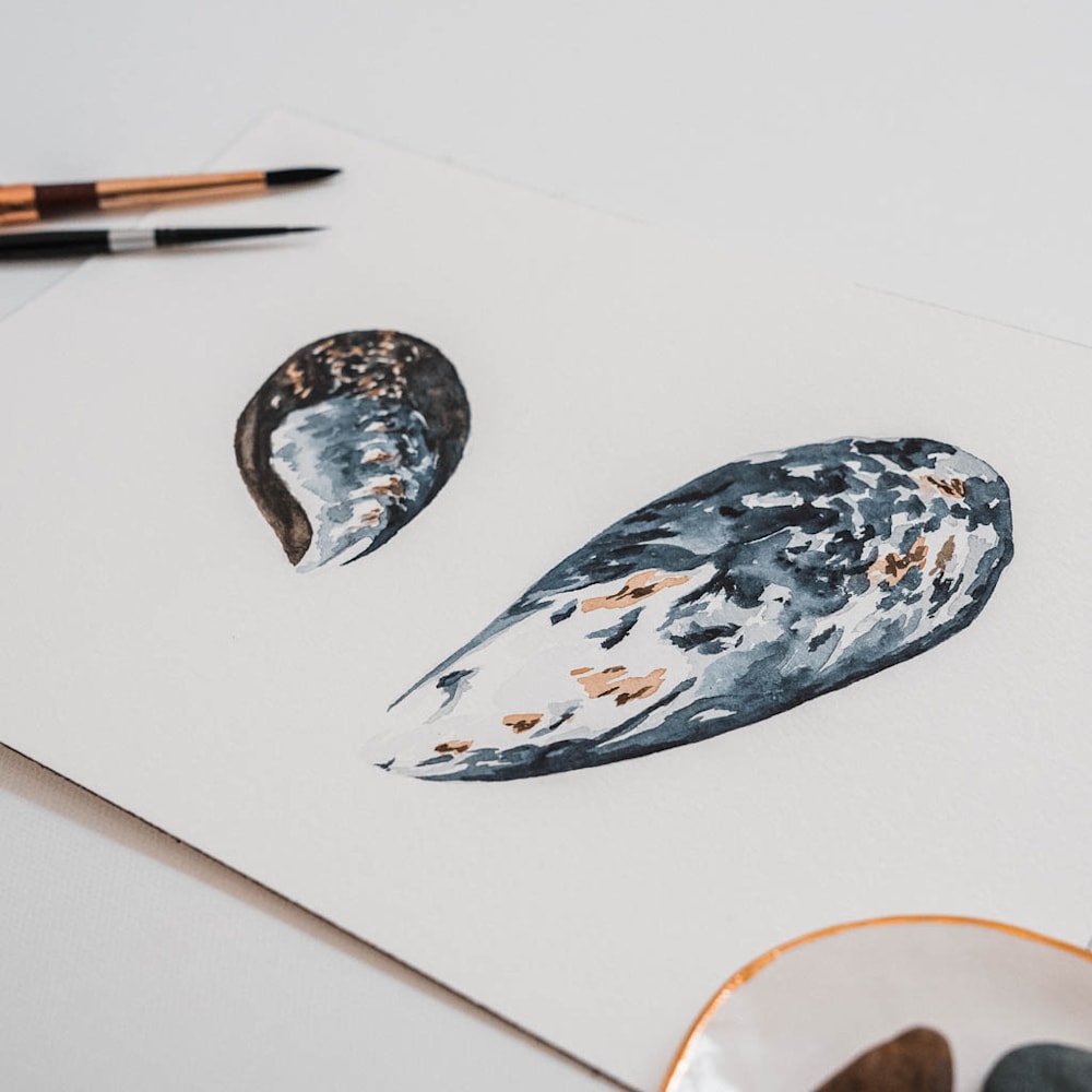 tiny explorations mussel shell watercolor painting amy duffy 003
