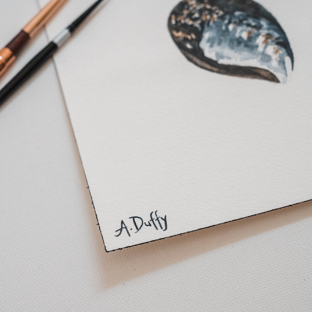 tiny explorations mussel shell watercolor painting amy duffy 004