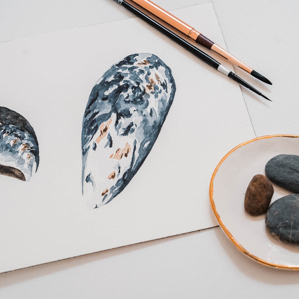 tiny explorations mussel shell watercolor painting amy duffy 005