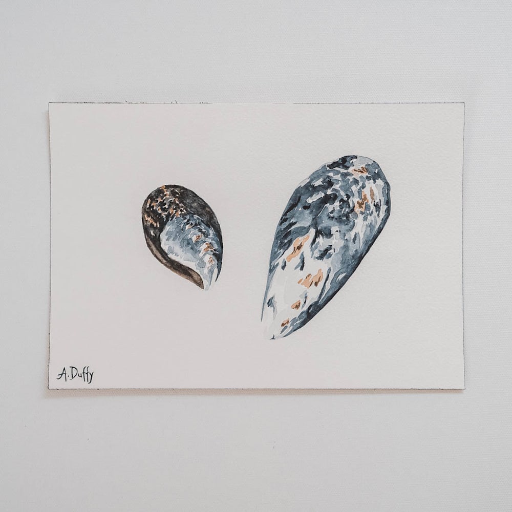tiny explorations mussel shell watercolor painting amy duffy 006