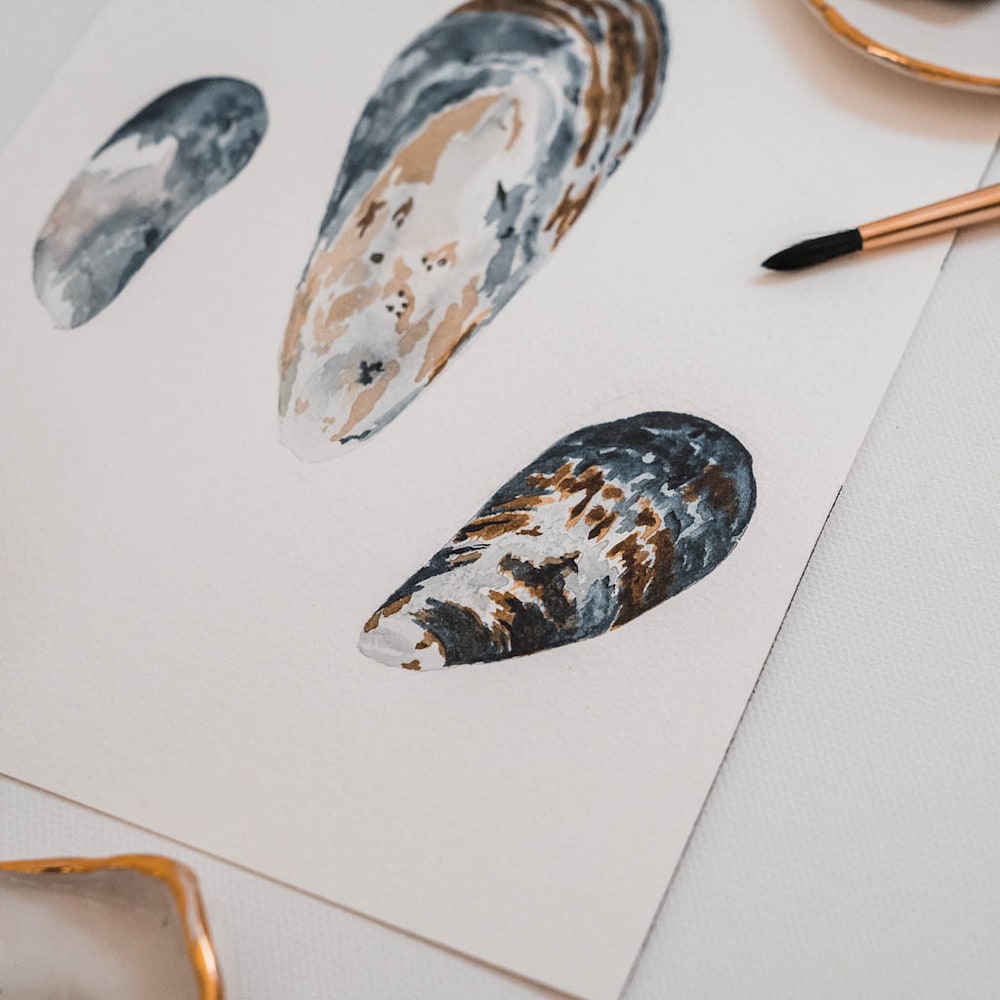 morning adventure mussel shell watercolor painting amy duffy 003