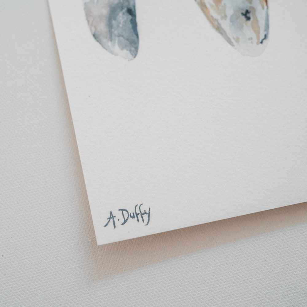 morning adventure mussel shell watercolor painting amy duffy 005