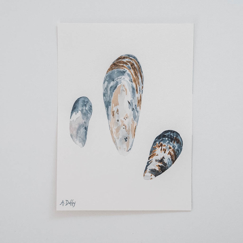 morning adventure mussel shell watercolor painting amy duffy 006