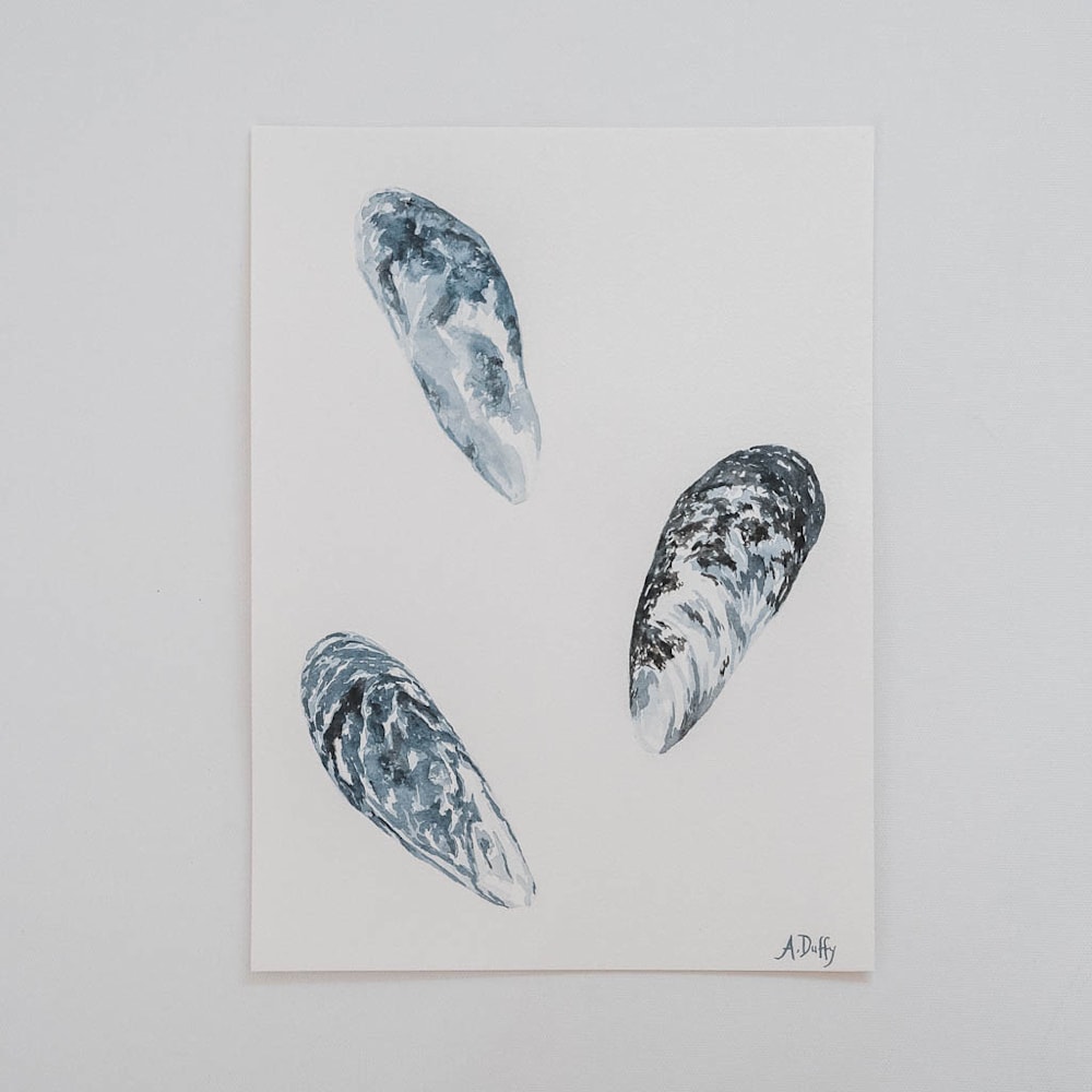 of the sea mussel shell watercolor painting amy duffy 007