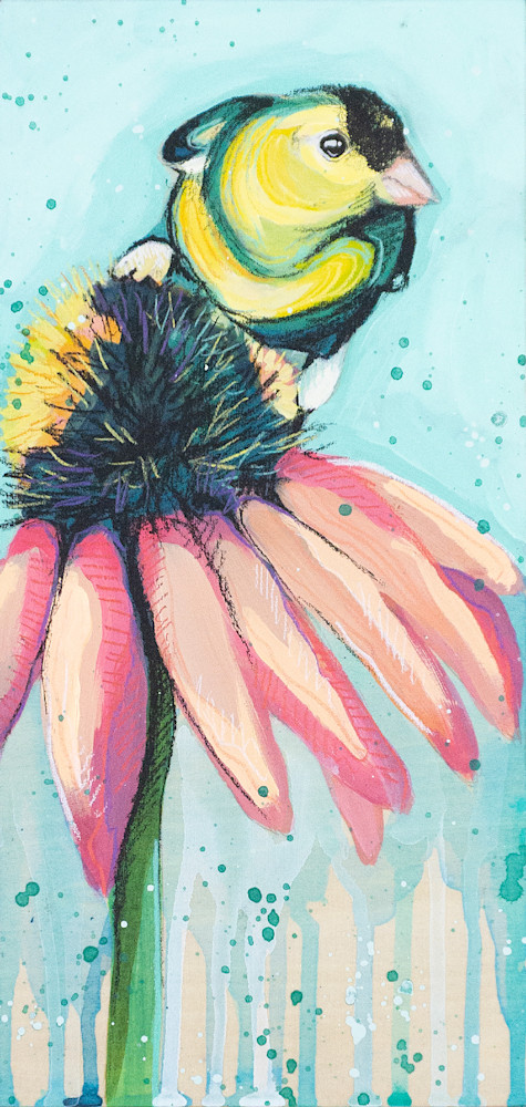 goldfinch echinacea Prints Original