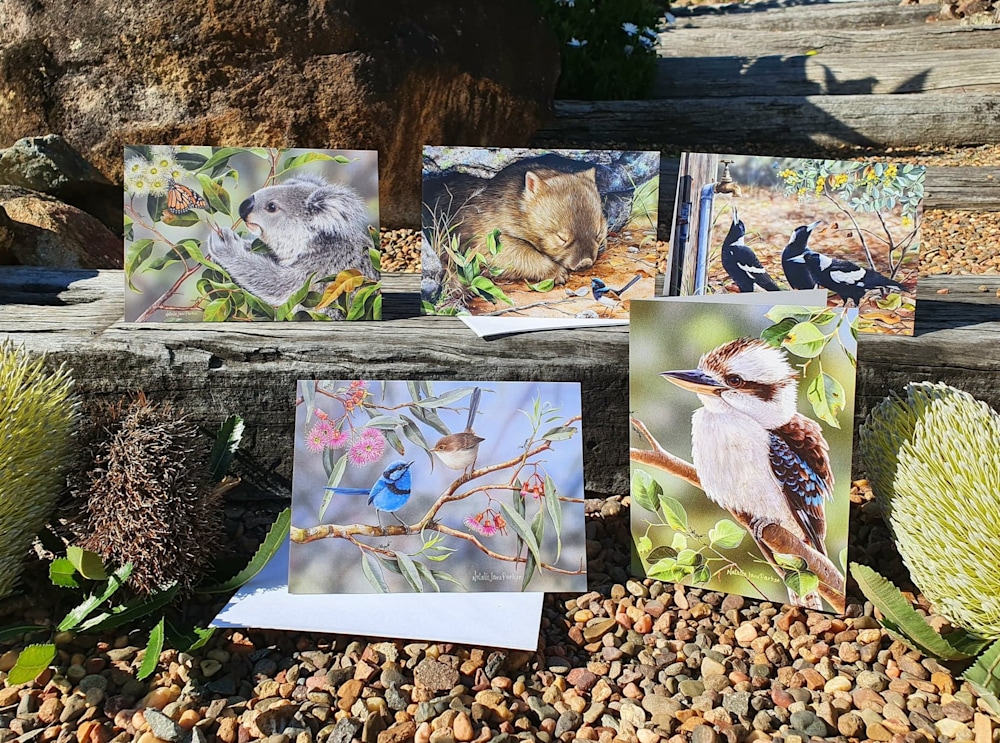 279231512 1212888109524175 6677252780262214293 n t1i76w